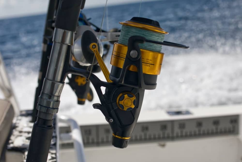 Vissen en avontuur: een hele dag expeditie