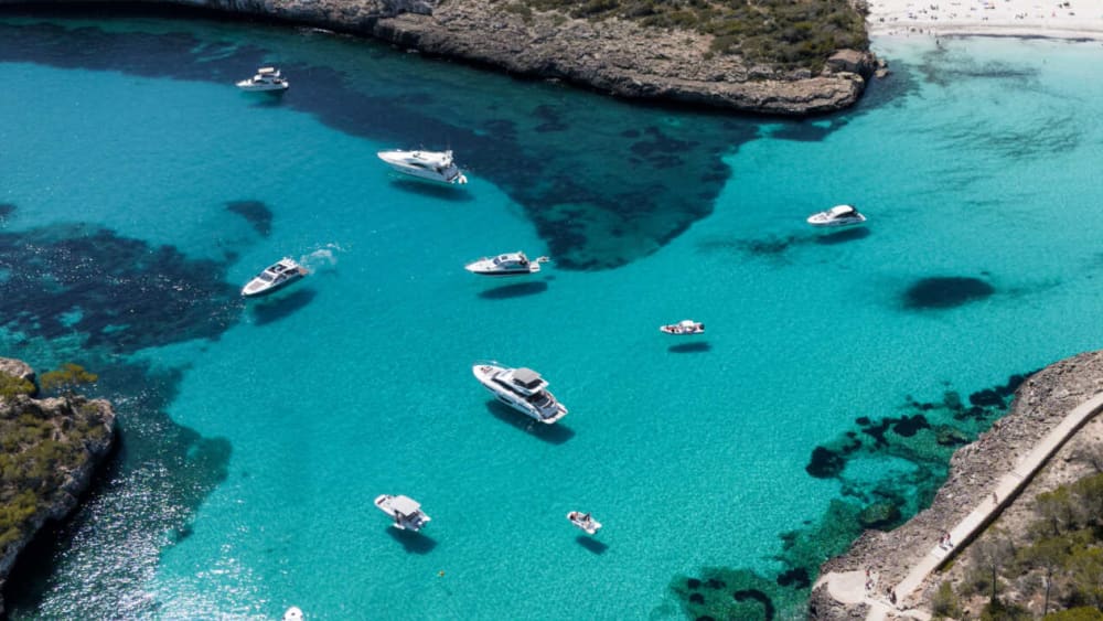 Sail, Swim & Paella – Exclusive Half-Day Cruise in Mallorca