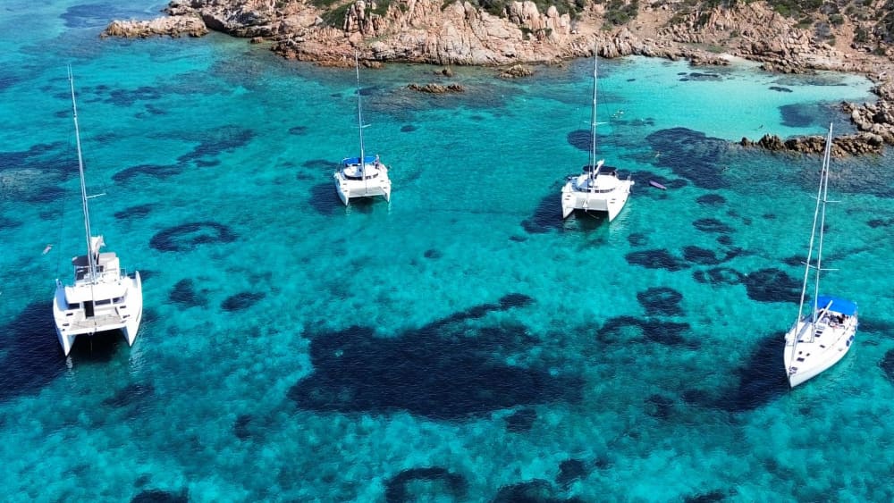 Sport Catamaran Tour of the La Maddalena Archipelago - Boarding from Cannigione