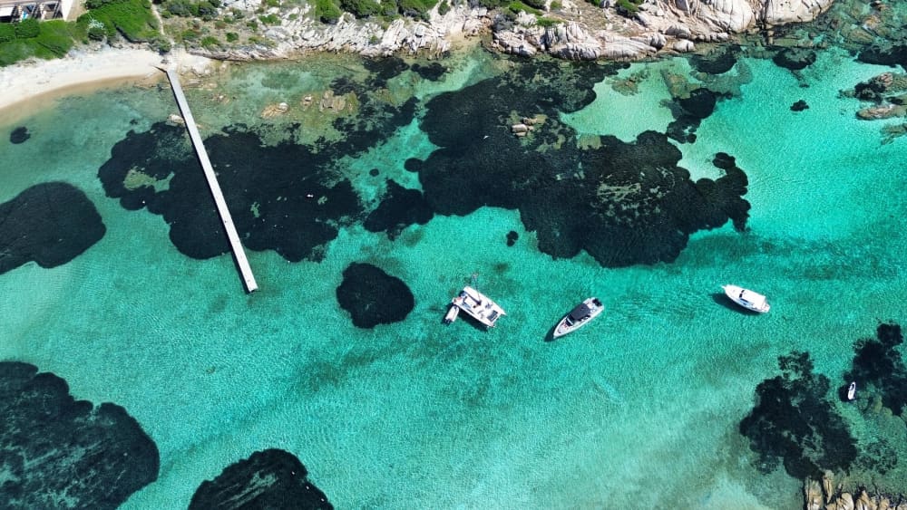 Heldag i katamaran 13 m från Cannigione: Underverken i La Maddalena skärgård