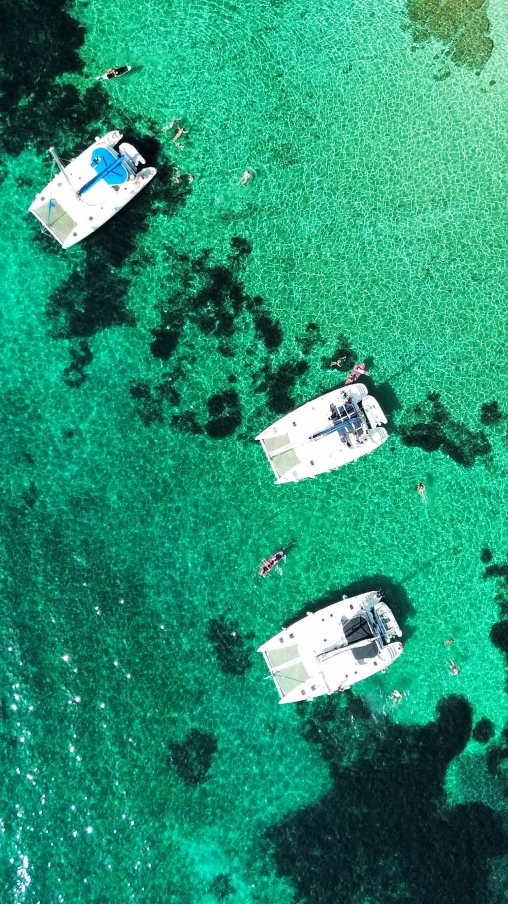 Heldag i katamaran 13 m från Cannigione: Underverken i La Maddalena skärgård