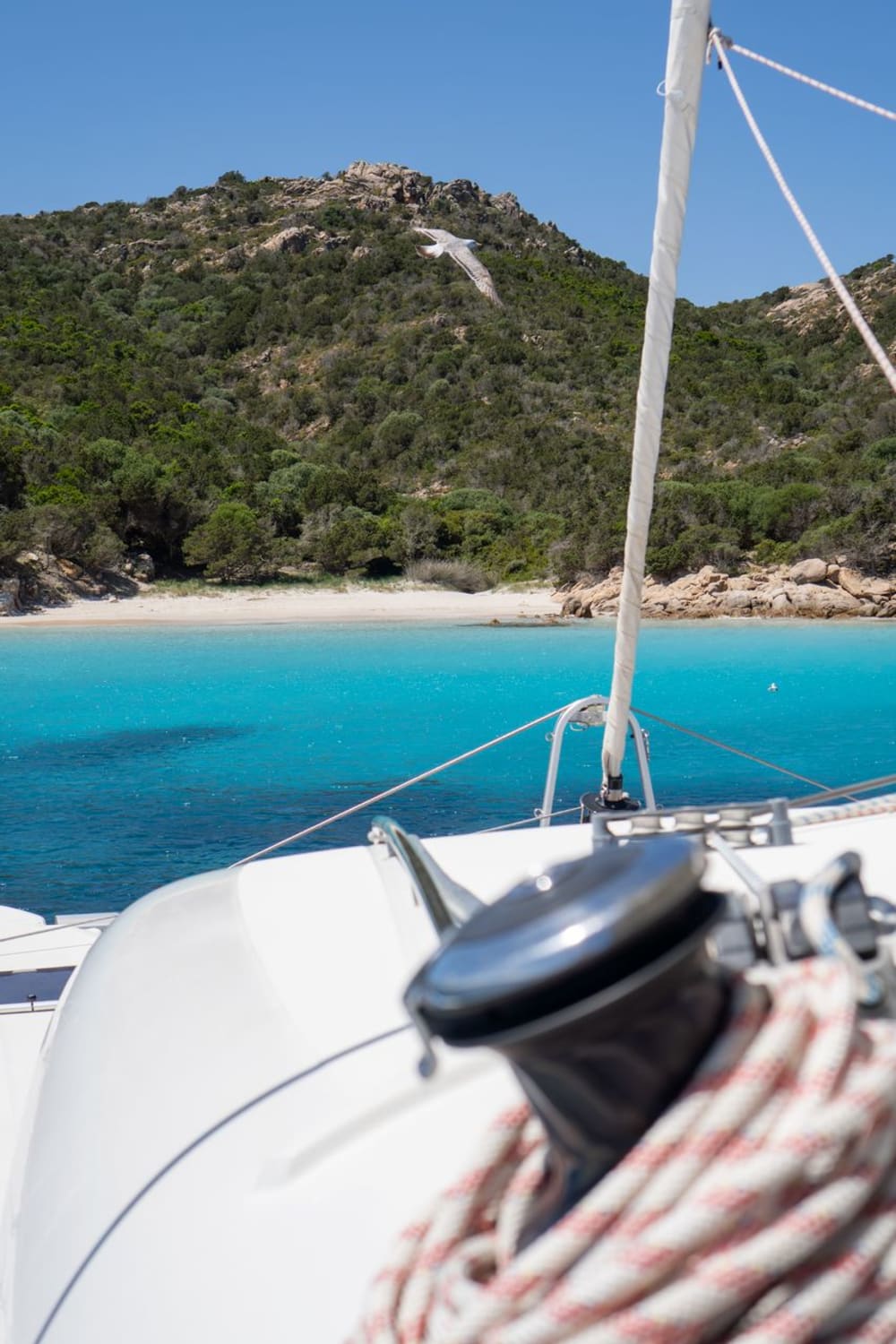 Full Day Catamaran from Cannigione: Nature, Sea and Wonder