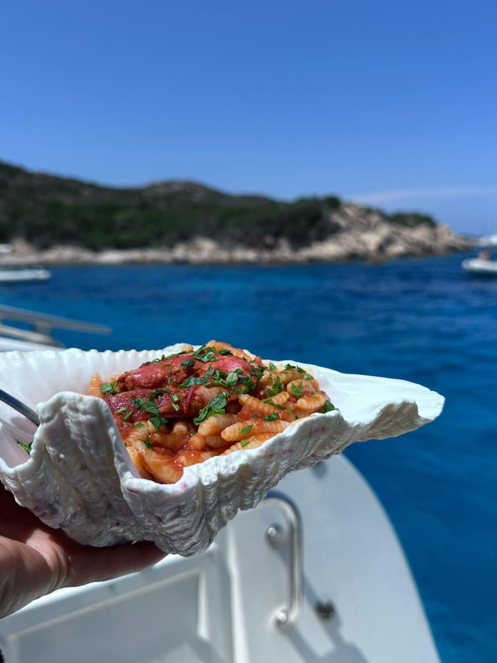 Full Day Catamaran from Cannigione: Nature, Sea and Wonder