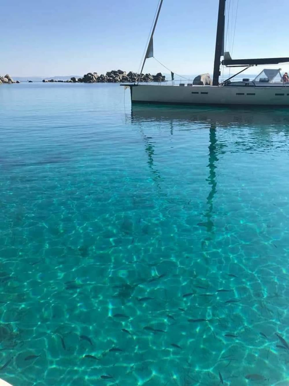 Full Day da Santa Teresa Gallura: Esplorazione tra Sardegna e Corsica, Isola Piana e Lavezzi