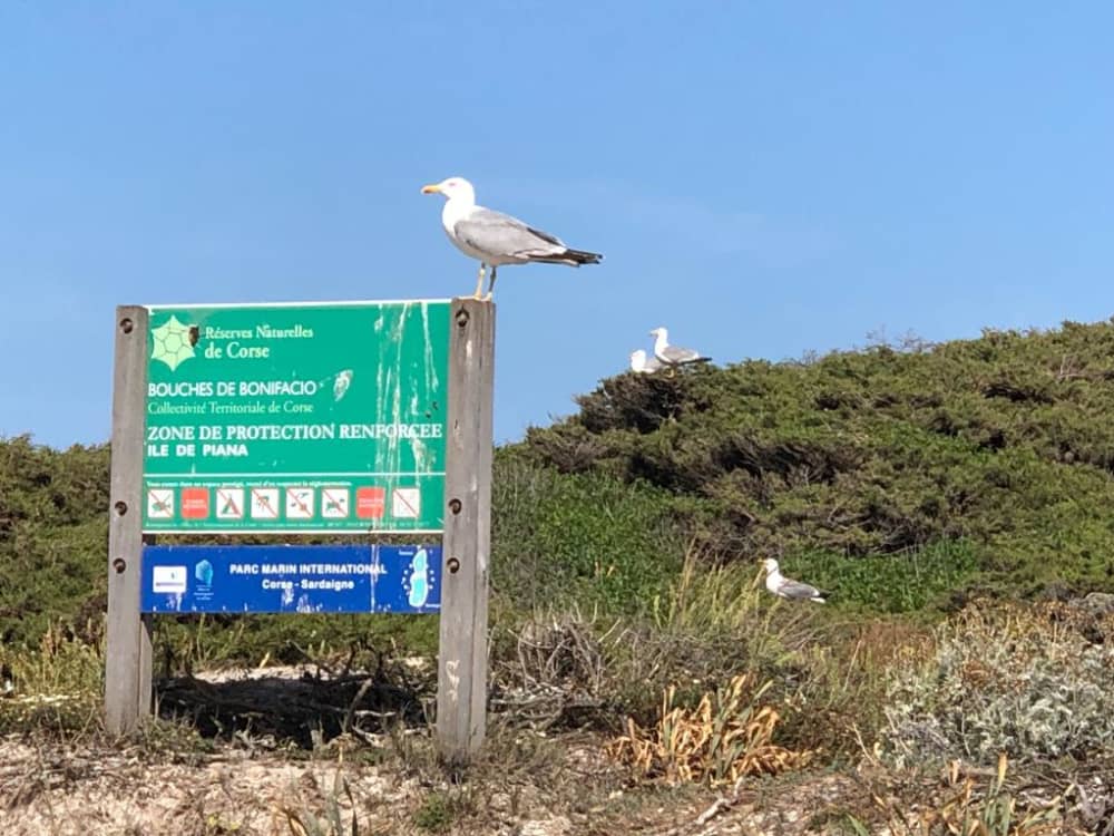 Full Day da Santa Teresa Gallura: Esplorazione tra Sardegna e Corsica, Isola Piana e Lavezzi