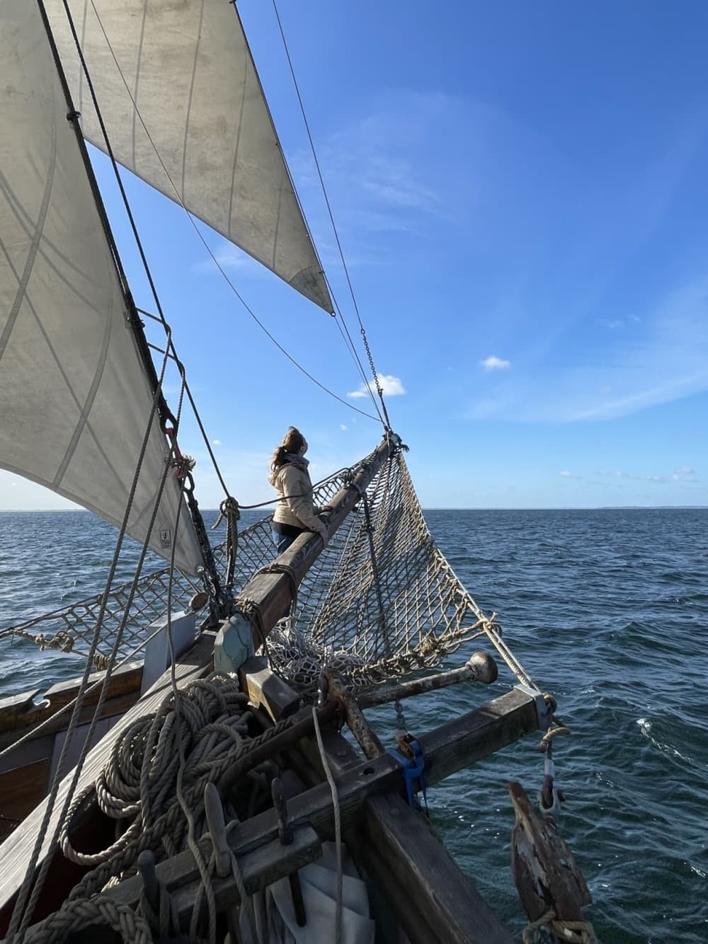 Segeln Sie ins Außergewöhnliche: Ein ganzer Tag voller Lachen und Wind in Flensburg auf einem Segelboot