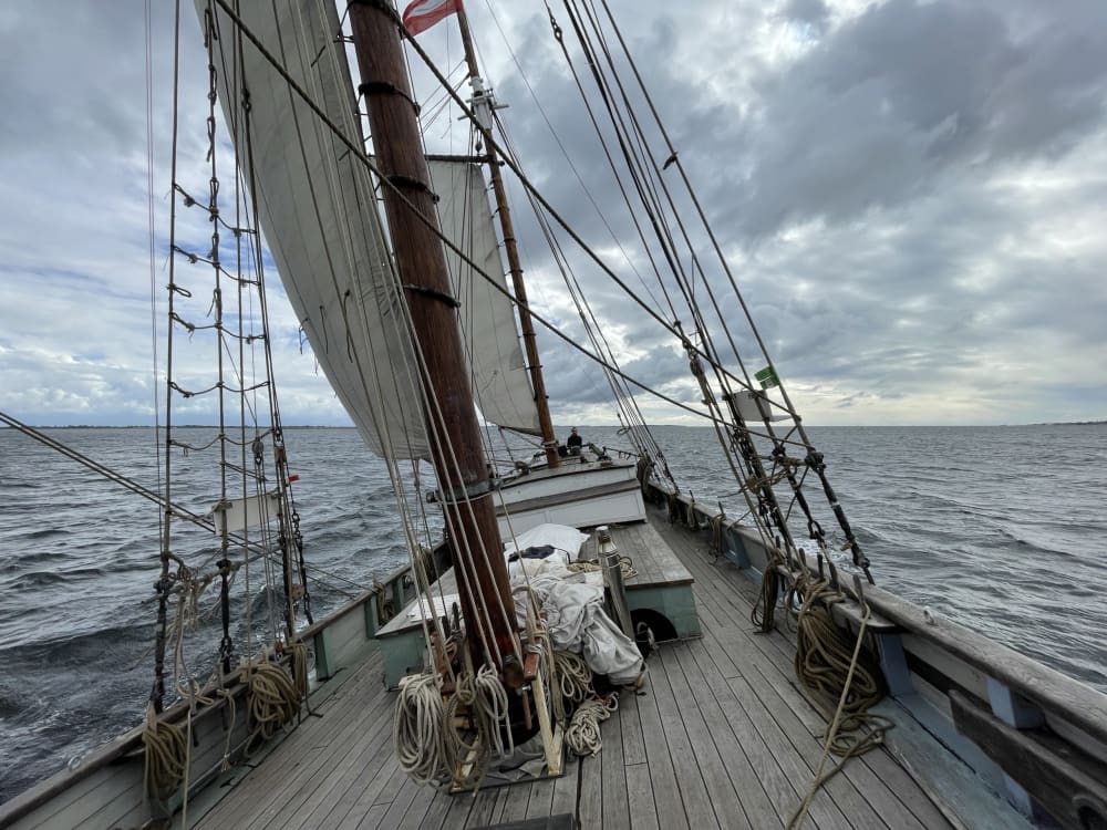 Πλεύστε στο εξαιρετικό: Μια γεμάτη μέρα γέλιου και αέρα στο Φλένσμπουργκ με ιστιοπλοϊκό