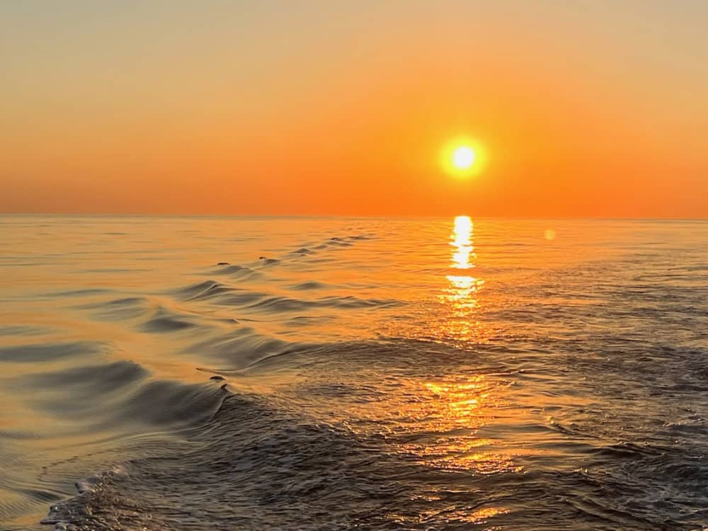 Rilassatevi a Bandol: 7 ore di sole su un motoscafo.