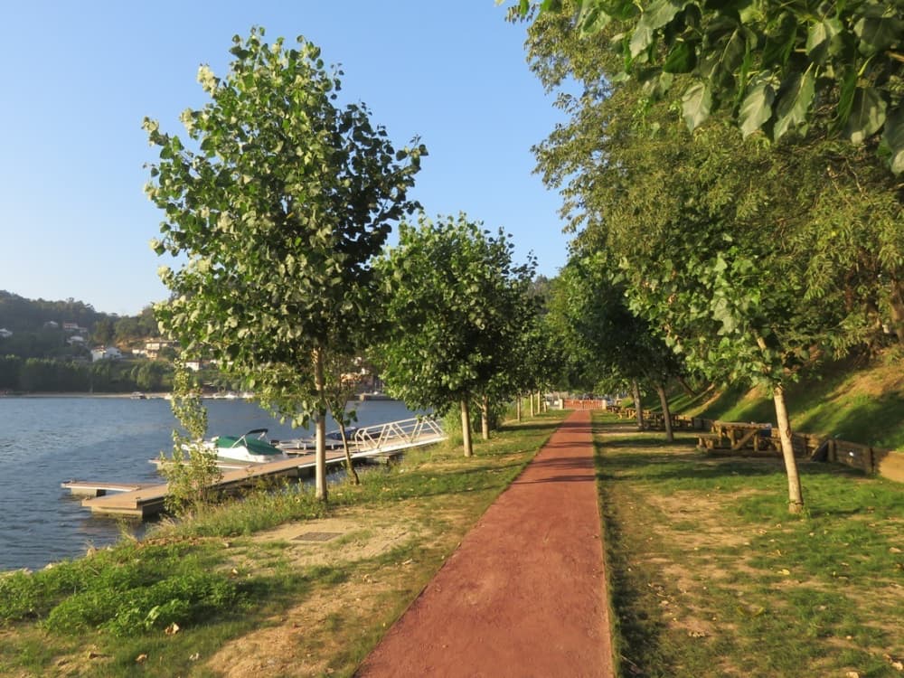 Descubre Castelo de Paiva en un viaje de medio día en lancha motora