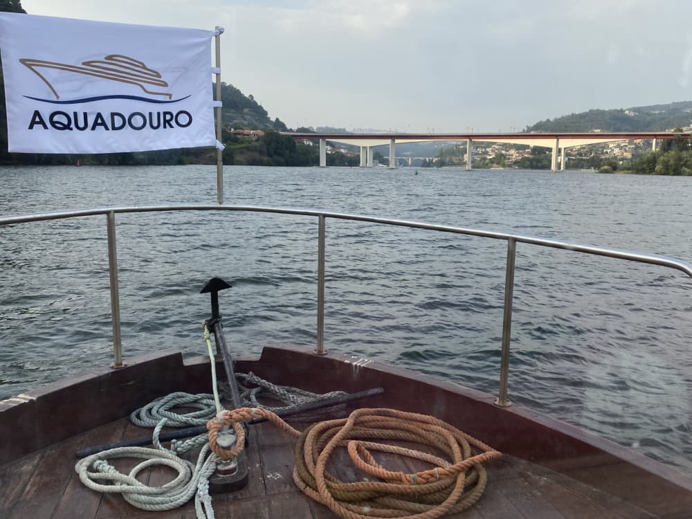 Excursión de medio día en barco a motor en Castelo de Paiva.