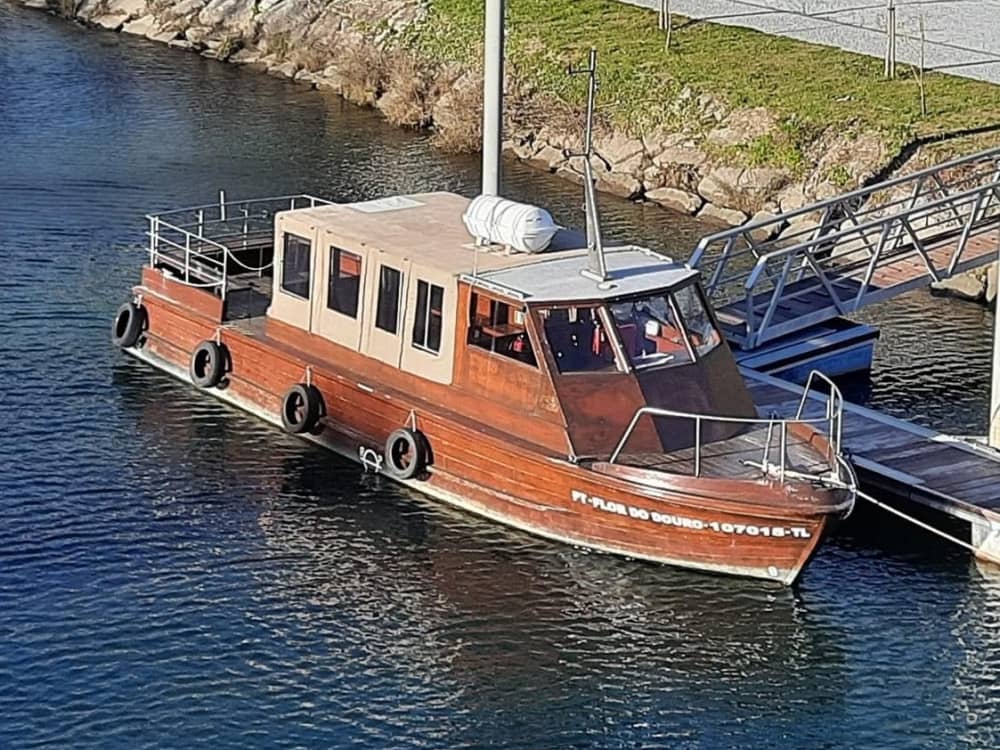 Excursión de medio día en barco a motor en Castelo de Paiva.