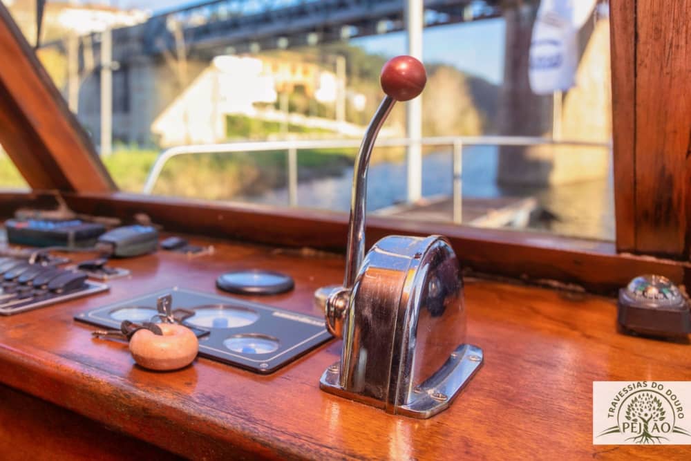 Excursión de medio día en barco a motor en Castelo de Paiva.