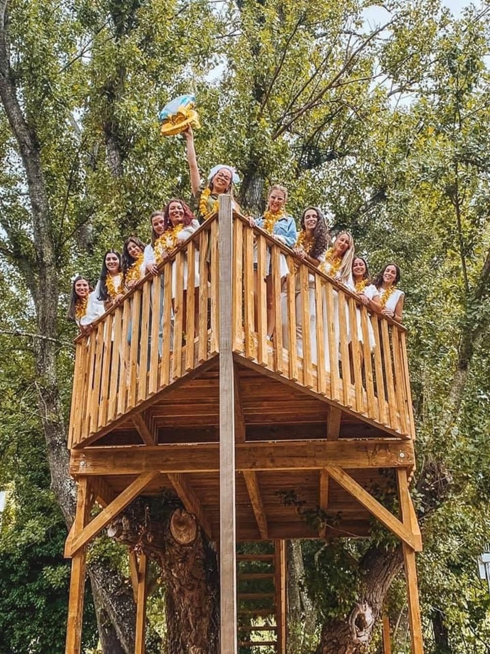 Excursión de medio día en barco a motor en Castelo de Paiva.