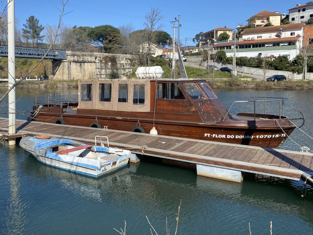 Excursión de medio día en barco a motor en Castelo de Paiva.