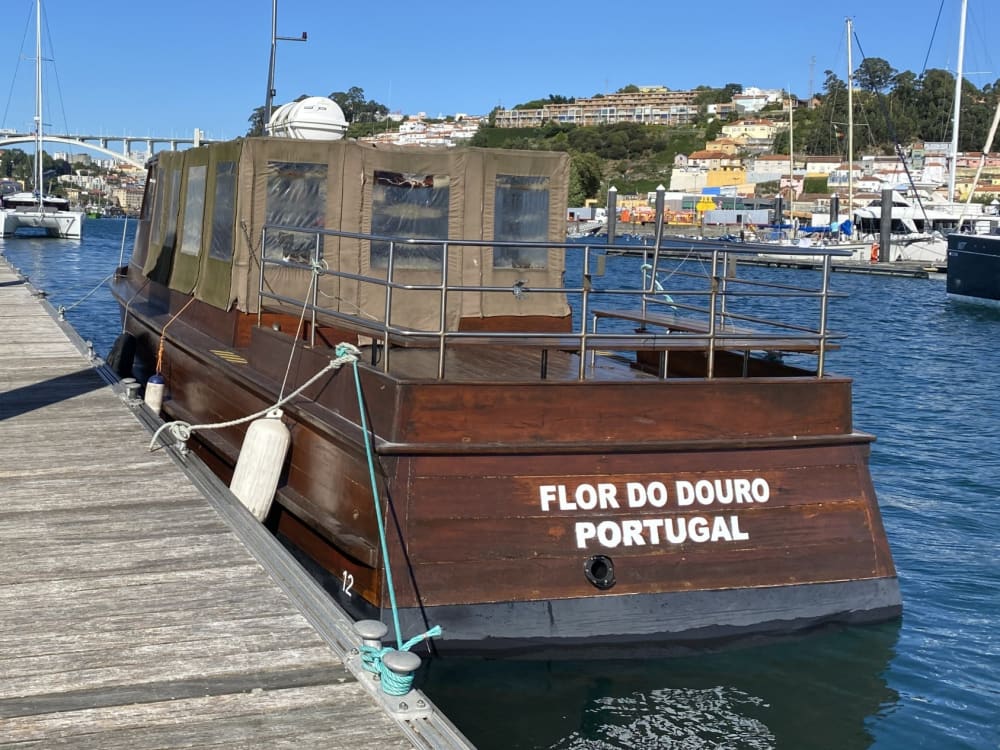 Excursión de medio día en barco a motor en Castelo de Paiva.