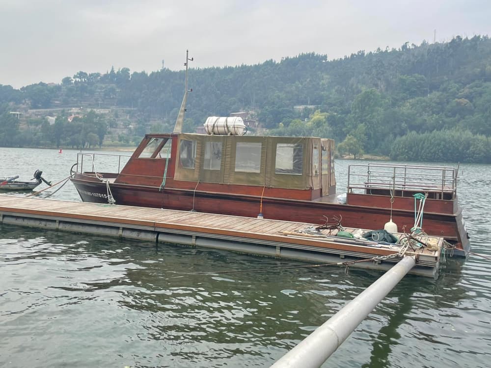Excursión de medio día en barco a motor en Castelo de Paiva.