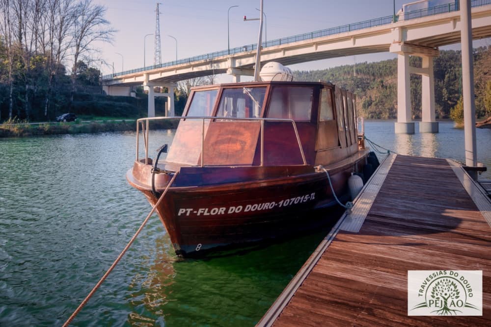 Excursión de medio día en barco a motor en Castelo de Paiva.