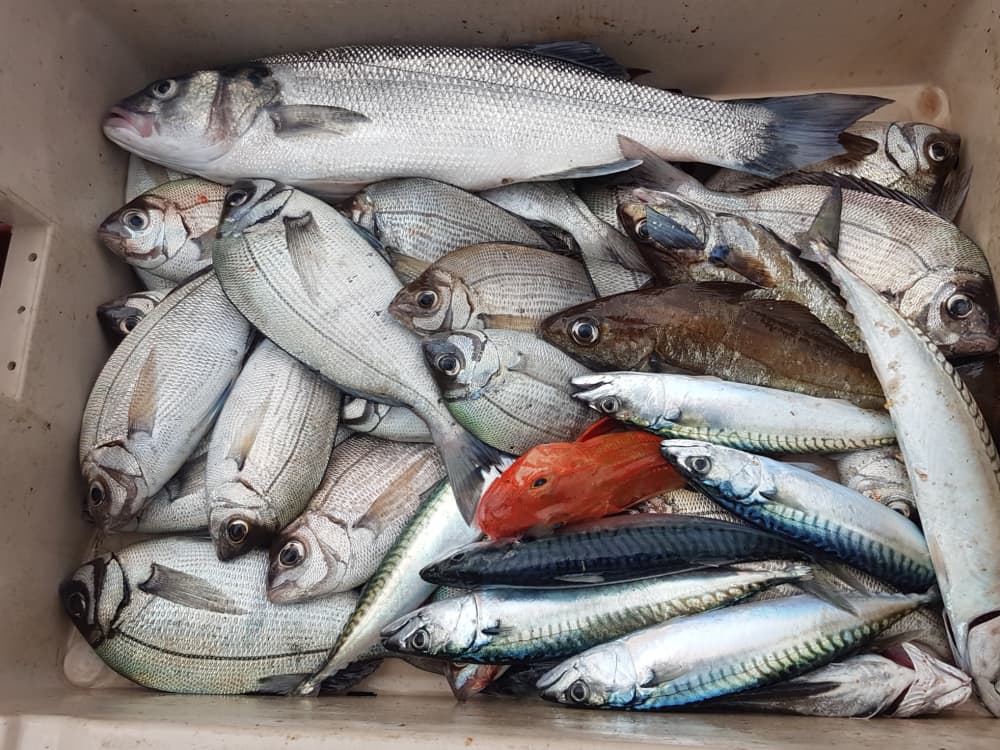 GIORNATA DI PESCA IN MARE