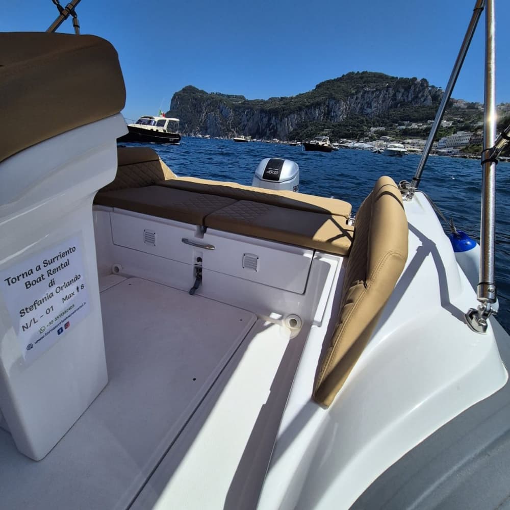 Scopri Sorrento a bordo di un motoscafo per 8 ore.