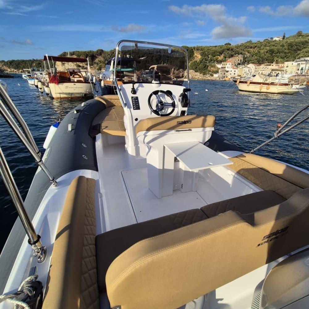 Scopri Sorrento a bordo di un motoscafo per 8 ore.