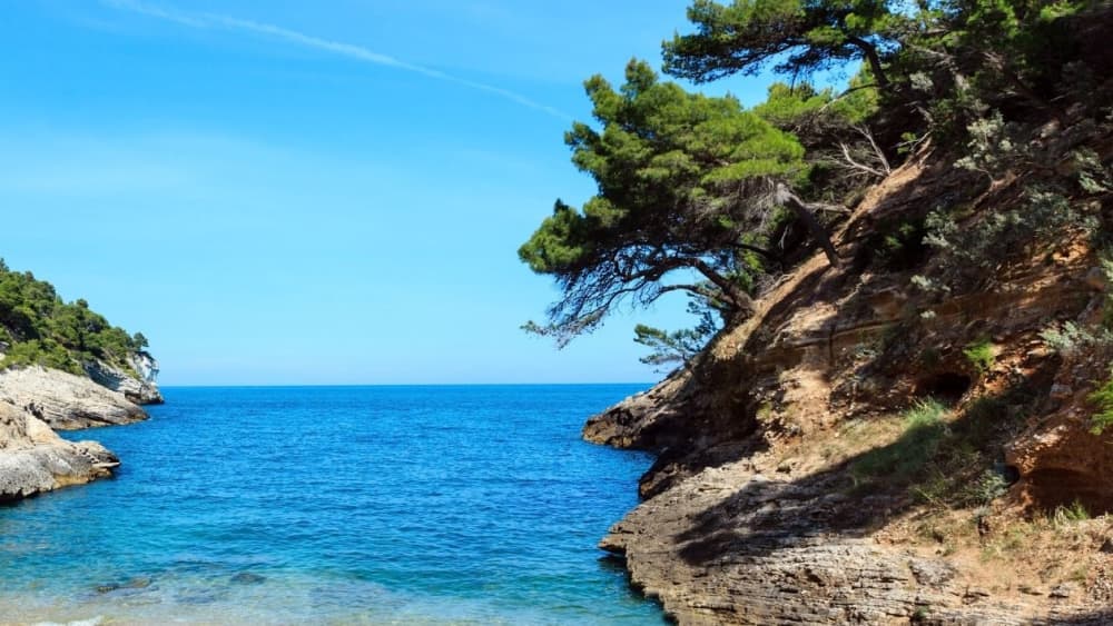 Escapade facile à Manfredonia : une excursion en bateau à moteur de 4 h