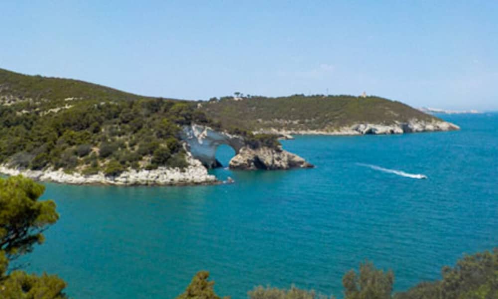 Escapade facile à Manfredonia : une excursion en bateau à moteur de 4 h