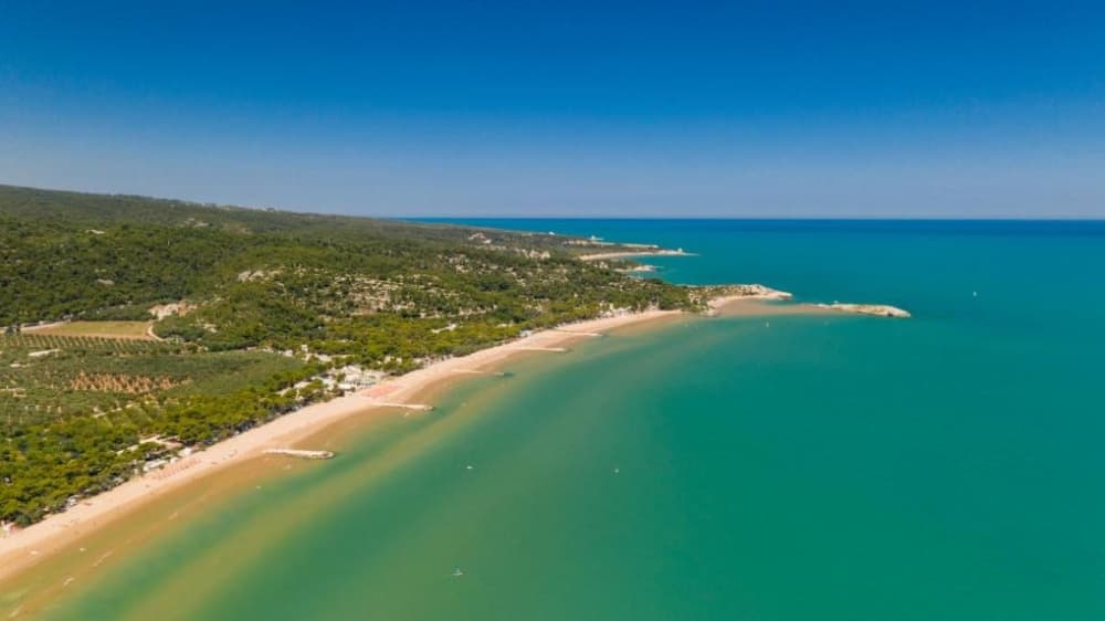 Escapade facile à Manfredonia : une excursion en bateau à moteur de 4 h