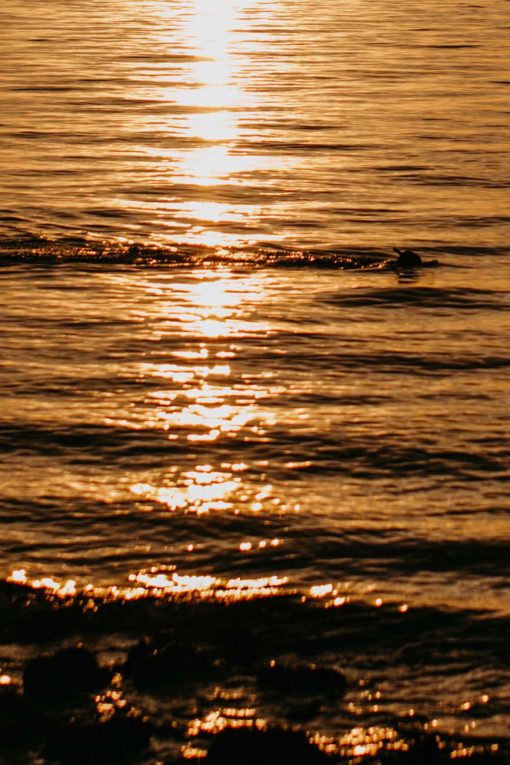 Fretamento de dia inteiro no Parque Nacional Kornati