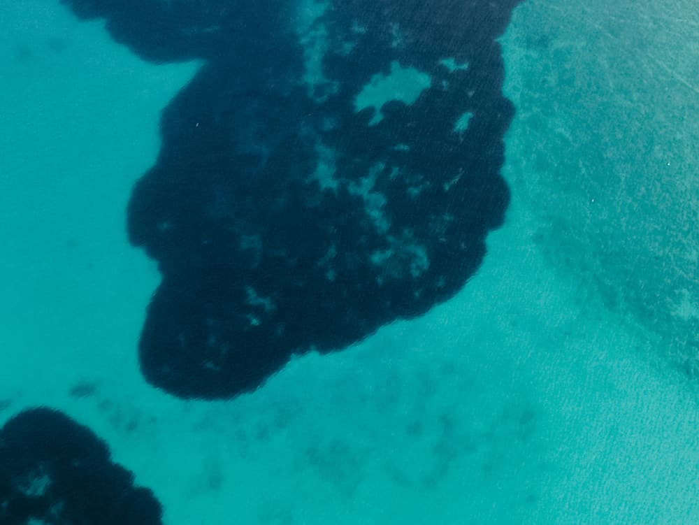 Fretamento de dia inteiro: Molat e Dugi Otok - Túneis militares e baías deslumbrantes