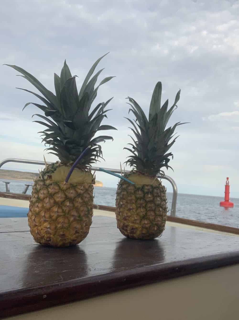 Privé boottocht rond Gozo op een motorboot.