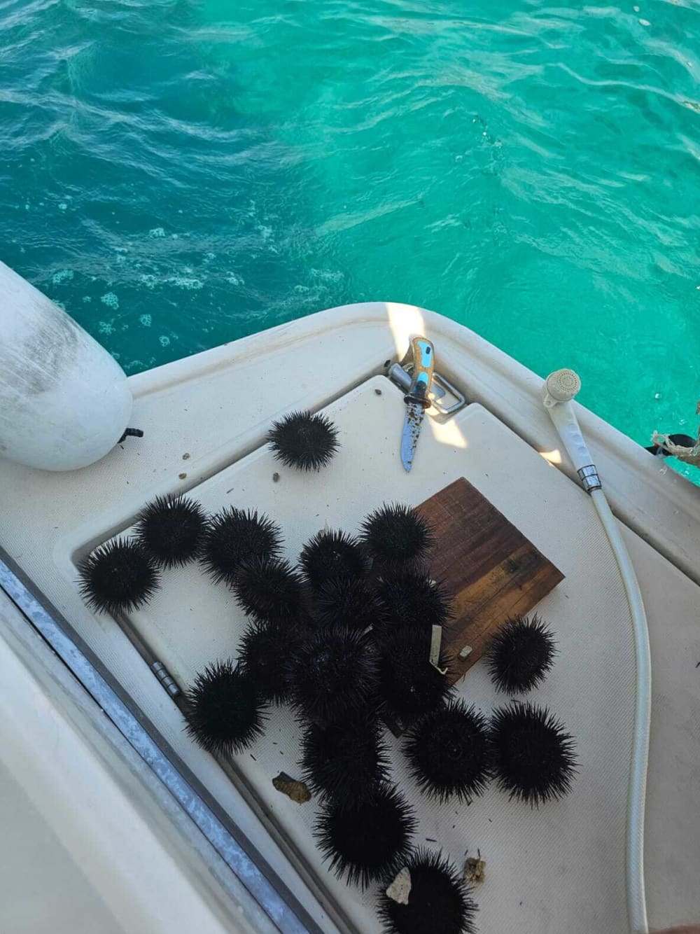 Enjoy the sun on a 9h boat trip in Korčula