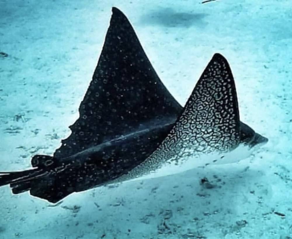 ОТДЫХ НА ЧАСТНОЙ ЯХТЕ