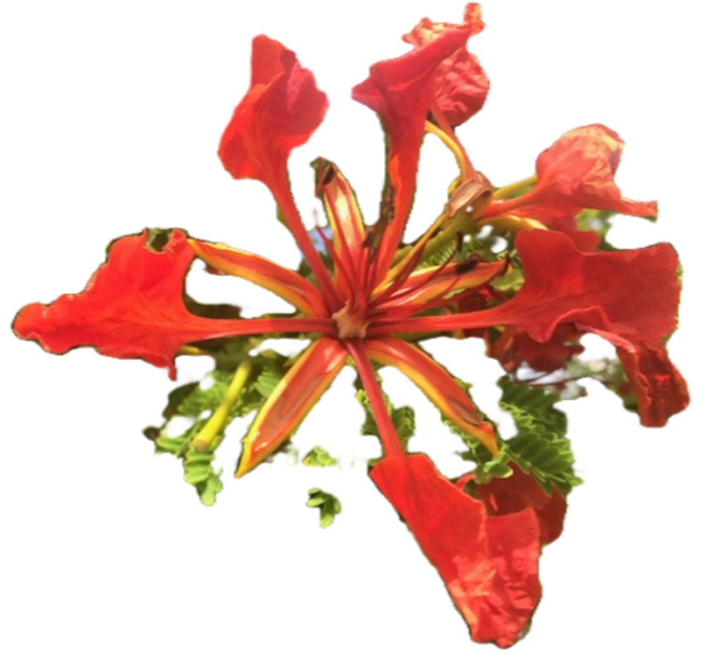 ОТДЫХ НА ЧАСТНОЙ ЯХТЕ