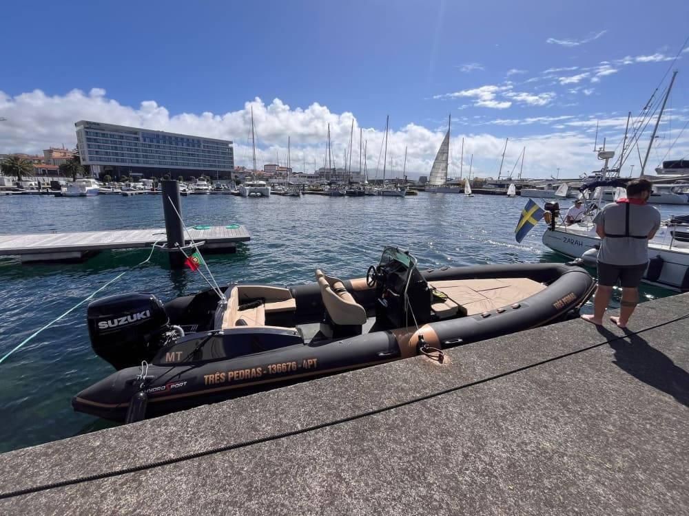 Een ontspannen uitstapje naar Ponta Delgada: een boottocht van 3,5 uur op een motorboot.