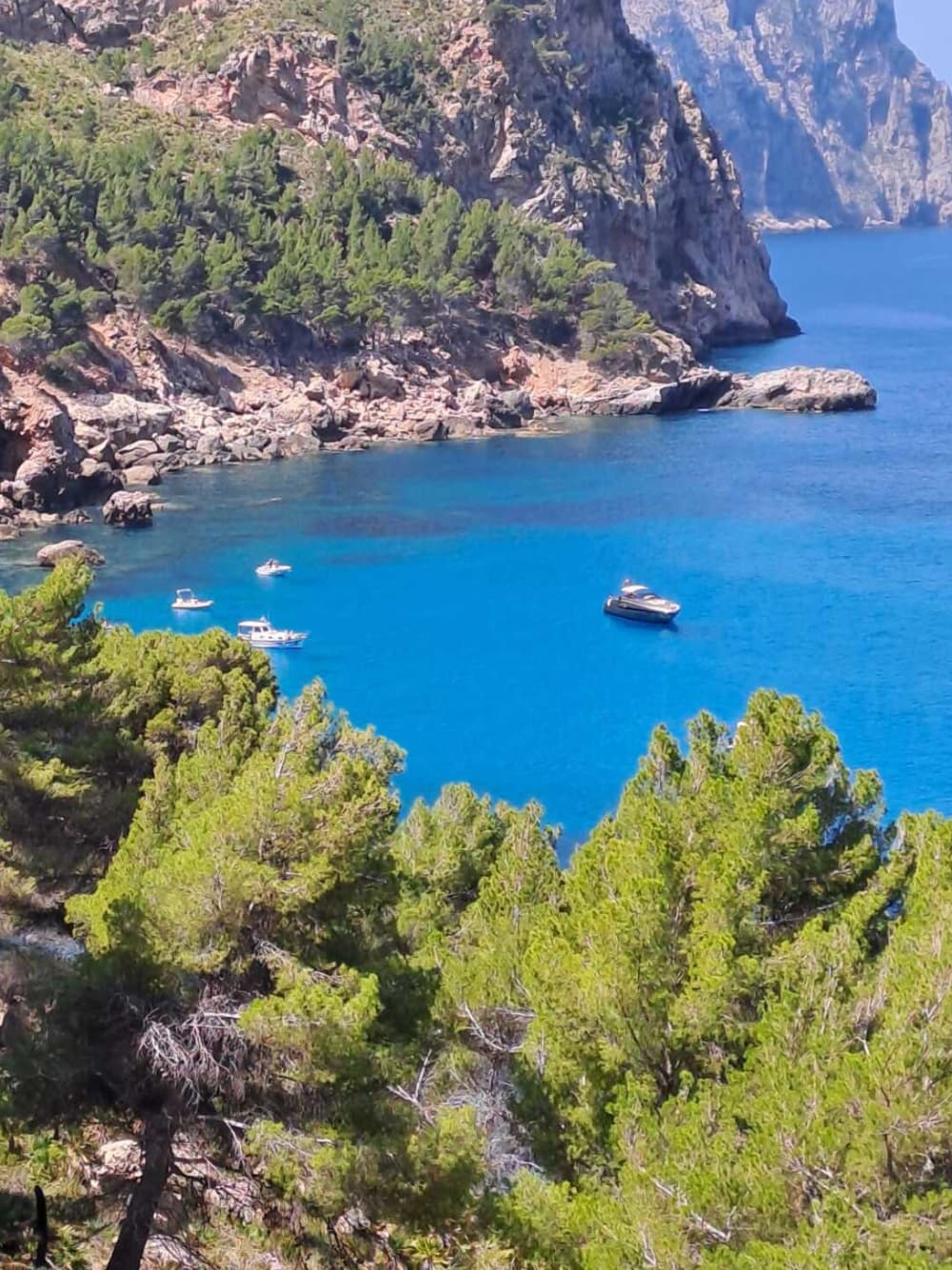 Escursione di mezza giornata lungo la costa occidentale di Maiorca