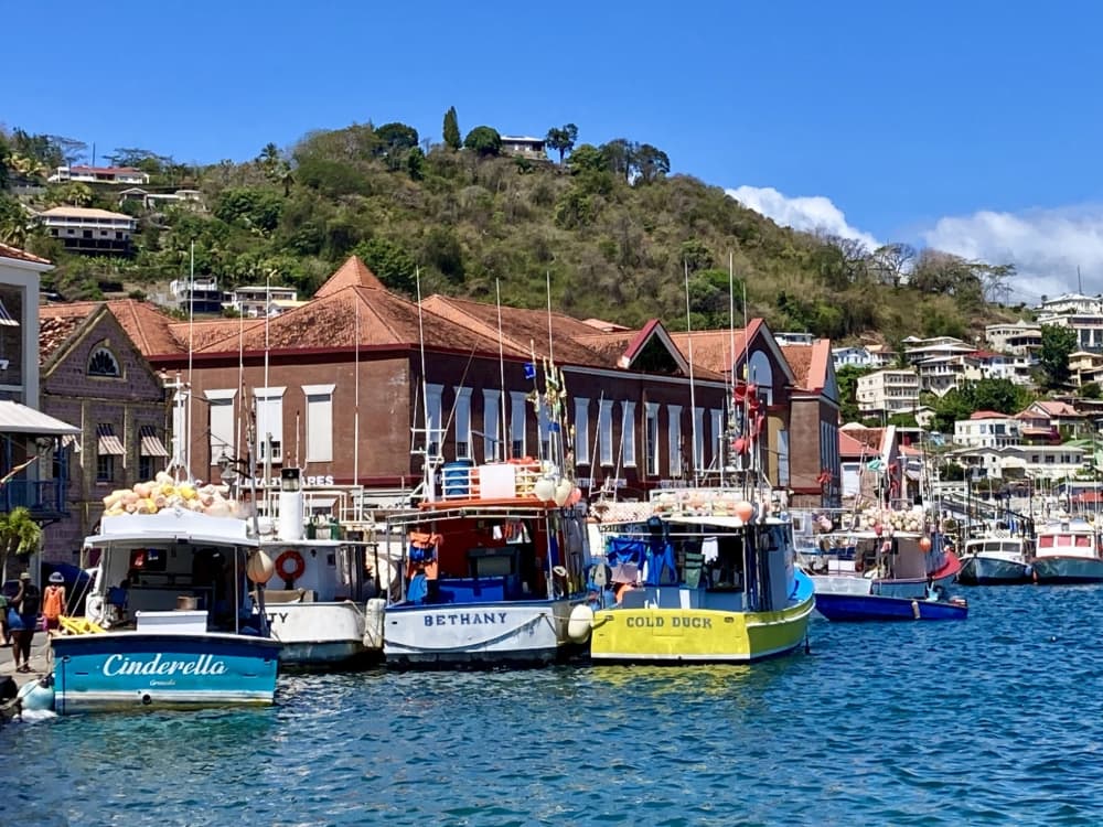 Discover Grenada on a full-day catamaran trip