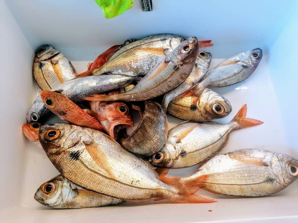 Détente au Brusc : 7h30 de soleil sur un bateau à moteur