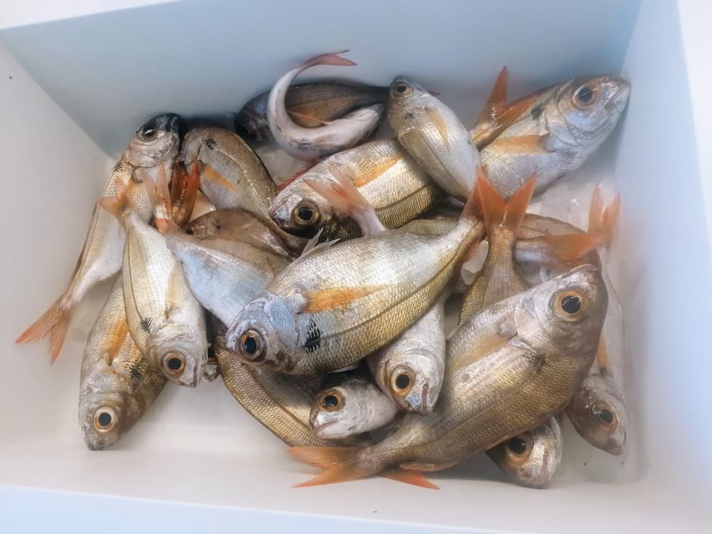 Détente au Brusc : 7h30 de soleil sur un bateau à moteur