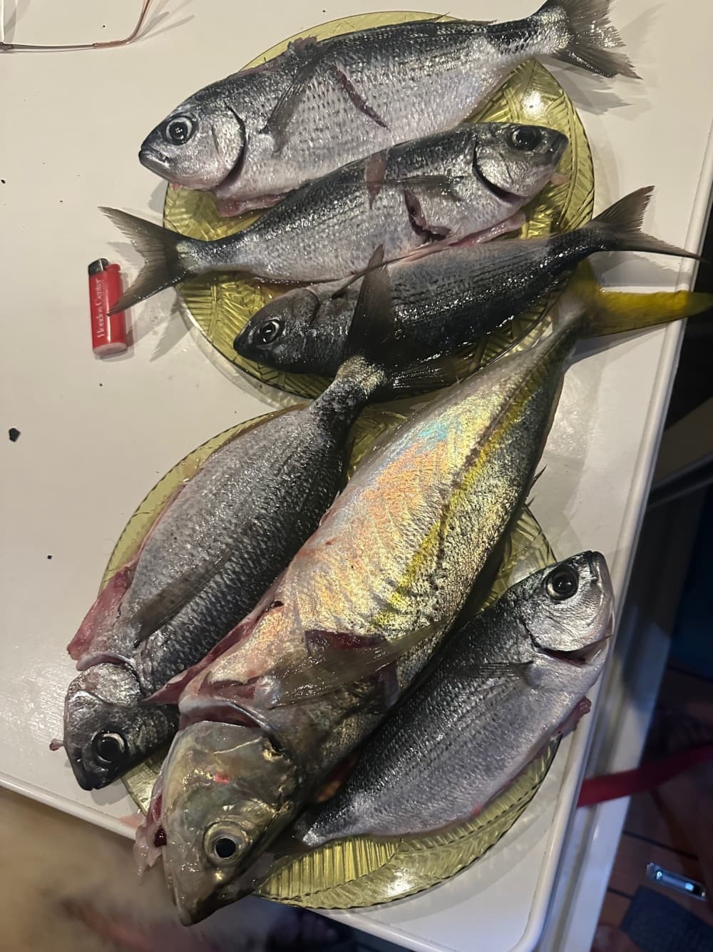 Naviguer avec les dieux : une journée à la découverte d'Égine en bateau à moteur