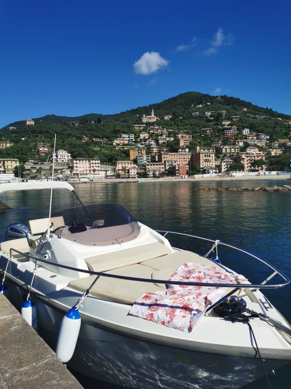 Goditi 9 ore a bordo di un motoscafo per esplorare Genova.