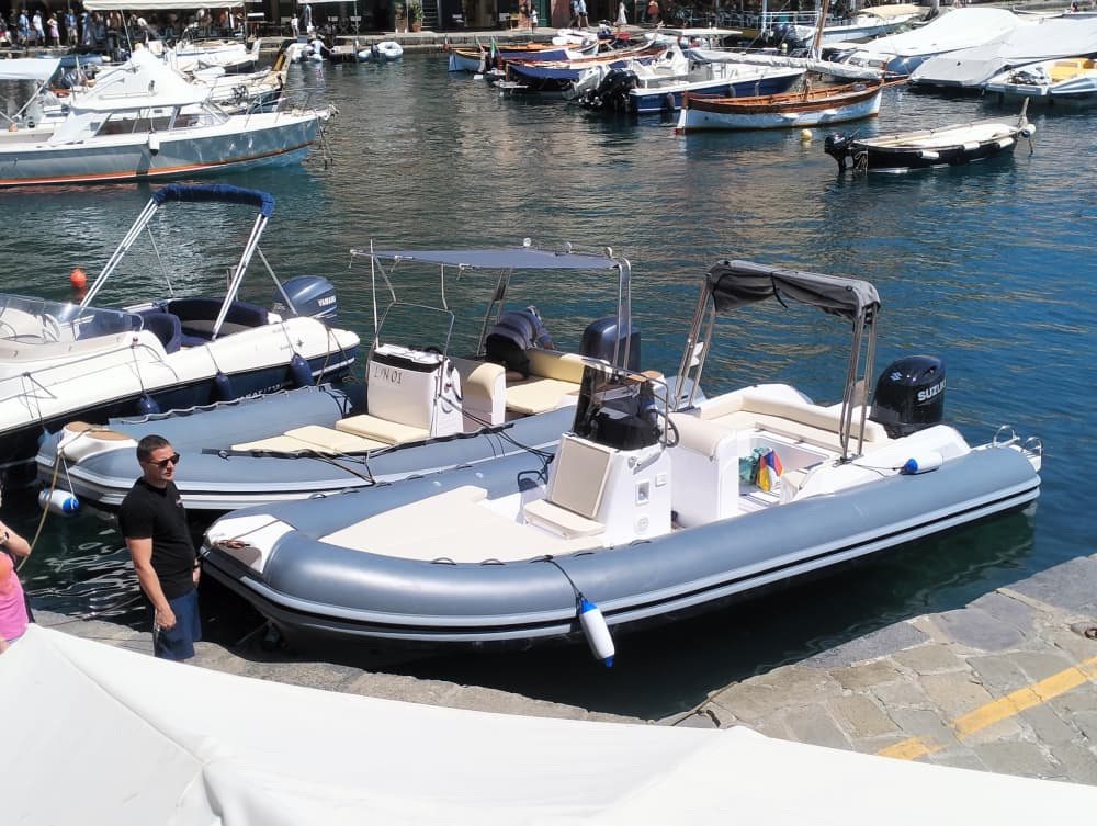 Discover Genoa on a full-day trip on a motorboat