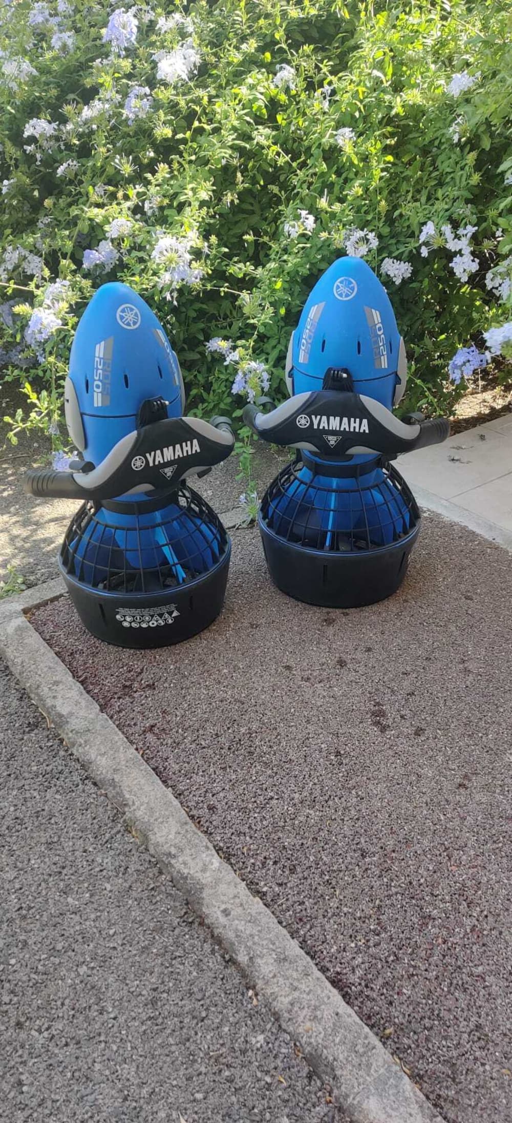 Le meilleur de Port Fréjus se trouve sur l'eau : votre journée privée complète en bateau à moteur