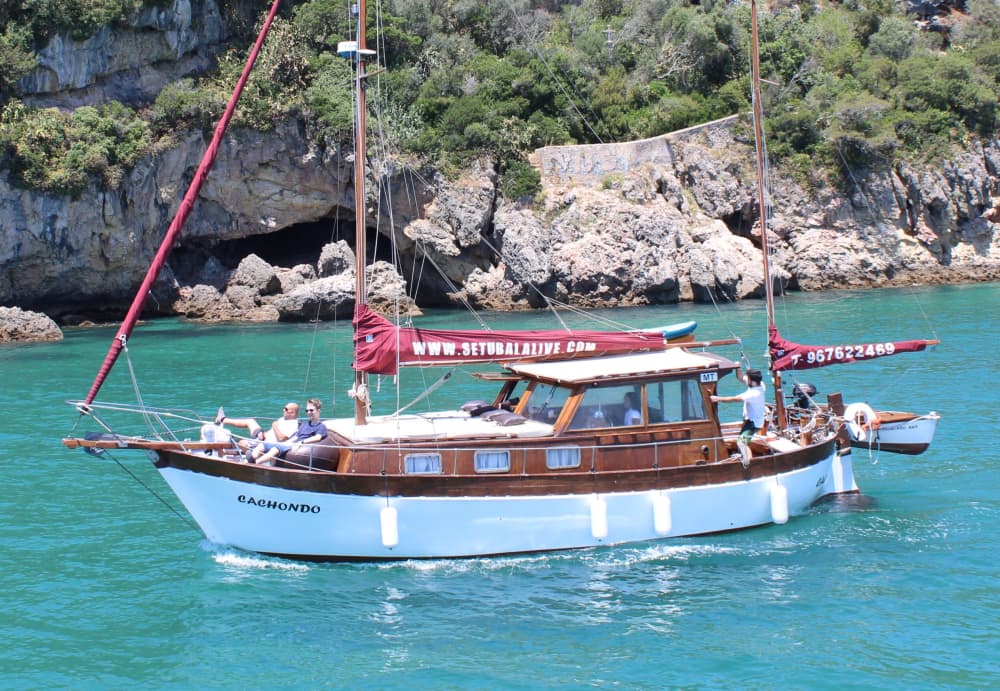 Sailing for a day between Setubal and Arrabida