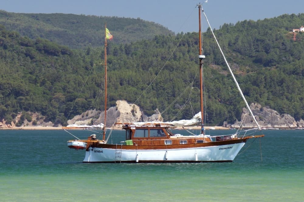 Sailing for a day between Setubal and Arrabida