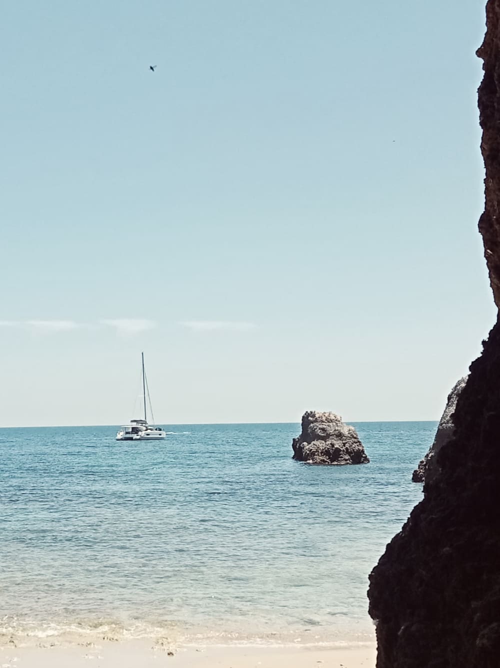 Lagos: Luxury Catamaran Cruise Half Day