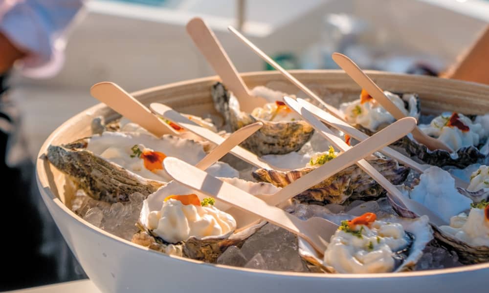 Golden Hour Escape – 2,5-stündige Kreuzfahrt ab Vilamoura