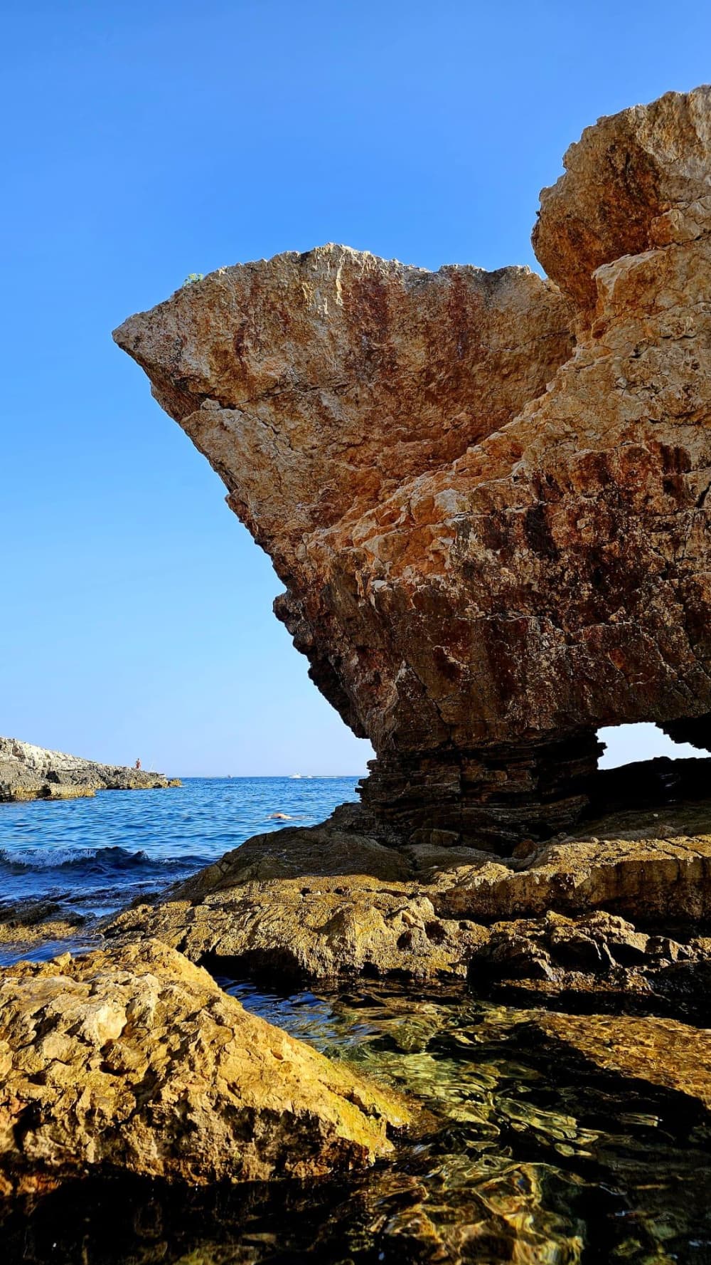 From Medulin: Istrian Coast Discovery with Hidden Bays