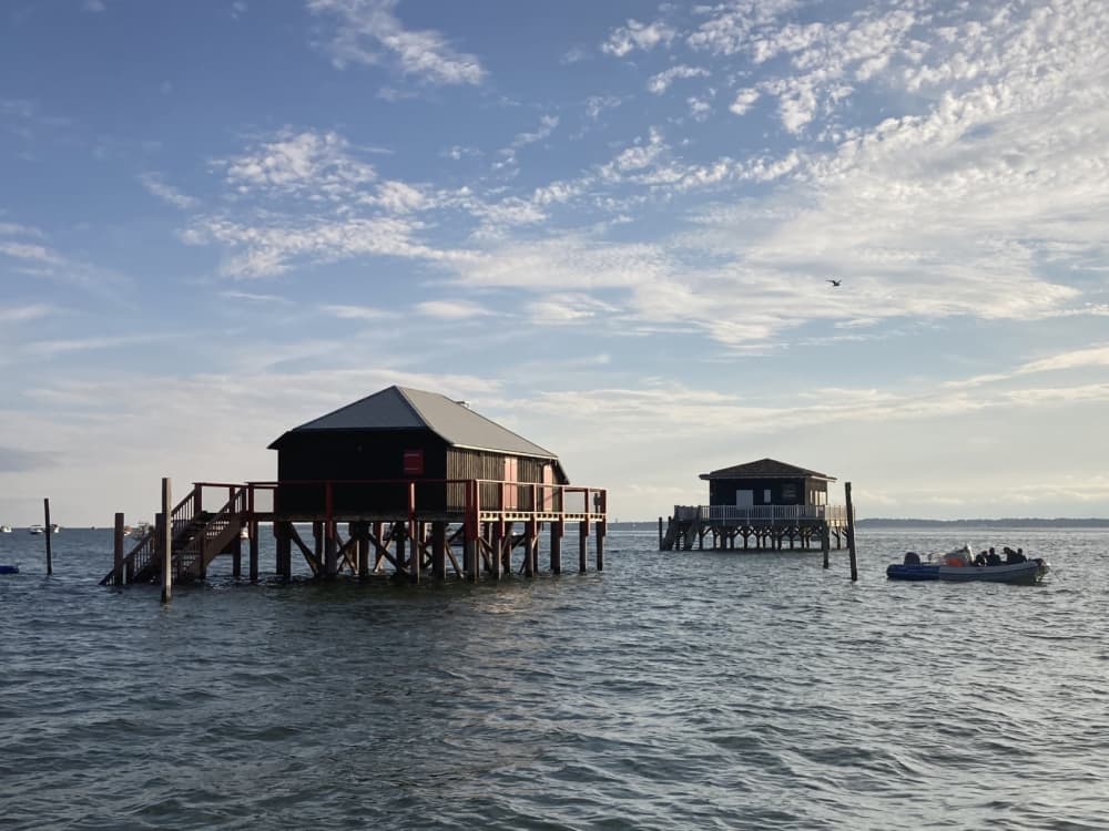 Bootsfahrt im Herzen des Bassins: Cabanes tchanquées, Île aux Oiseaux und Cap Ferret, Blick auf die Düne. 2 Stunden.