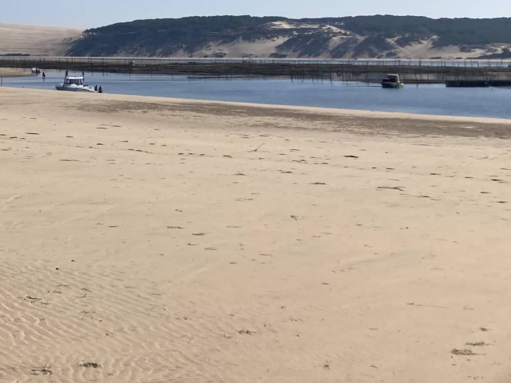 Bootsfahrt im Herzen des Bassins: Cabanes tchanquées, Île aux Oiseaux und Cap Ferret, Blick auf die Düne. 2 Stunden.