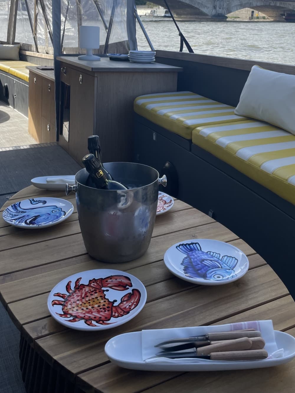 Discovery: 1-hour 100% Electric Private Cruise on the Seine